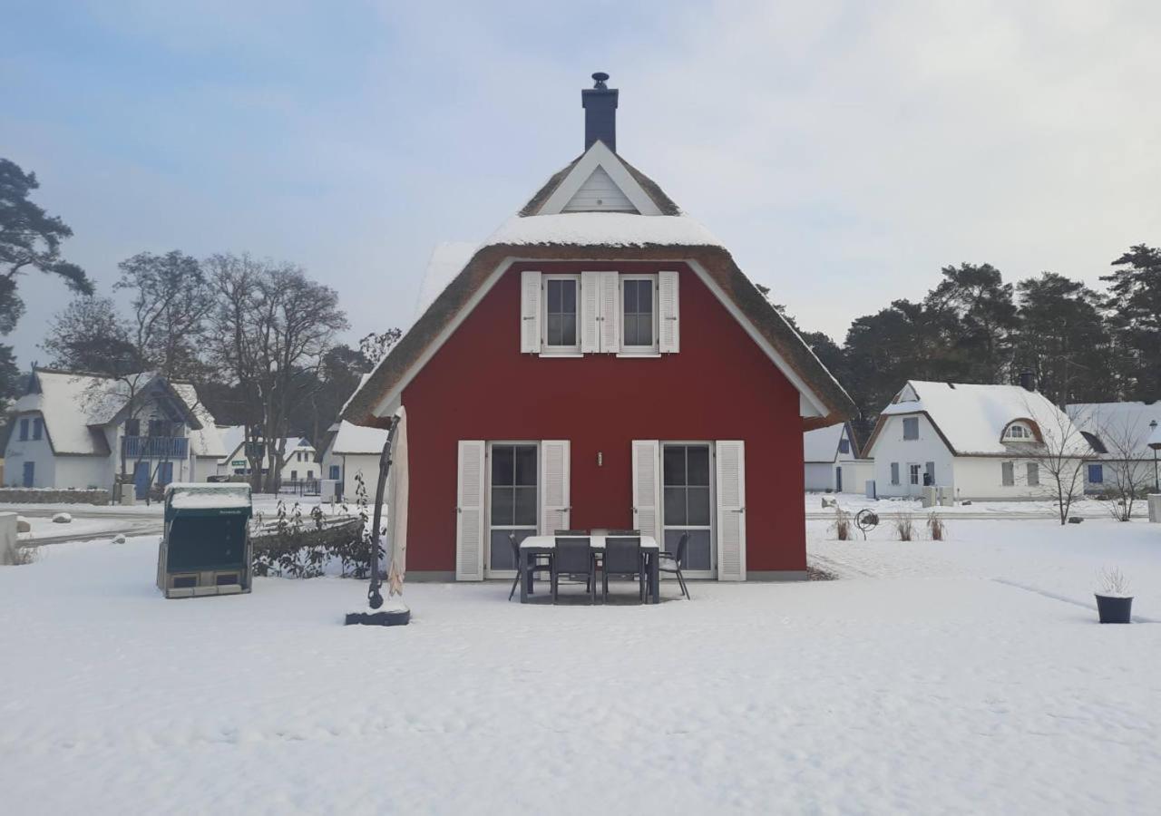 Modernes Reetdach-Ostseeferienhaus Bella Mare, Insel Usedom Mit Sauna, Kamin & Sonnenterrasse Zirchow Екстер'єр фото